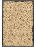 CMSS00779