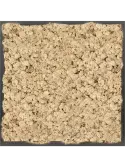 CMSS00780