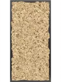 CMSS00781