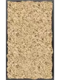 CMSS00783