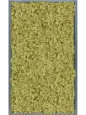 CMSS00807