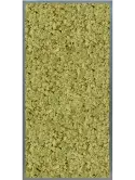 CMSS00809