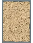 CMSS00811