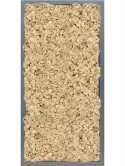 CMSS00813