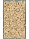 CMSS00815