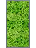 CMSS00821