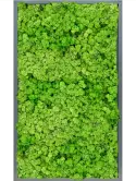 CMSS00823