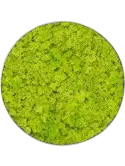 CMSS00833