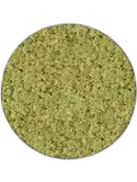 CMSS00846