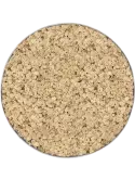 CMSS00847