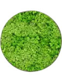 CMSS00848