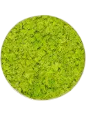 CMSS00873