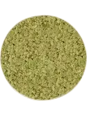 CMSS00876