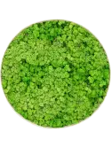 CMSS00878