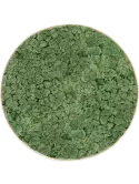 CMSS00884
