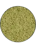 CMSS01036