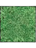 CMSS01395