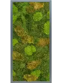 CMSS01434