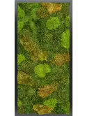CMSS01448