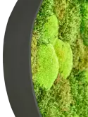 CMSS01502_1