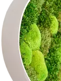 CMSS01508_1