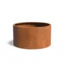 CT2.1