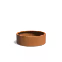 CT4.3