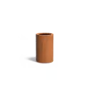 CT9.1