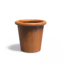 CTC1