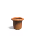 CTC3