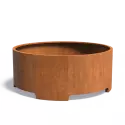 CTP1.1