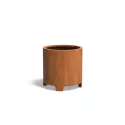 CTP6.1