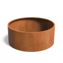 CTW1.1