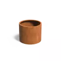 CTW5.1