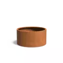 CTWL4.2