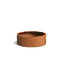 CTWL4.3