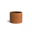 CTWL5.1
