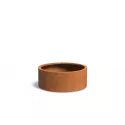 CTWL5.3