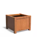 CY1