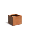 DOC3