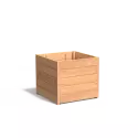 HS6.1