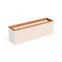 IEB.CA23