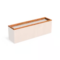 IEB.CA6