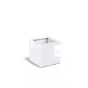 PBH8