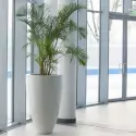 PCH2-detail-1