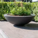 PD1-detail-1