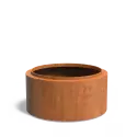 TPC1