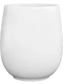 colourable_6BSTC6071
