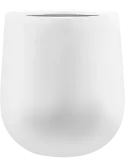 colourable_6BSTD5055