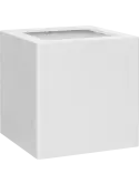 colourable_6PRG02100